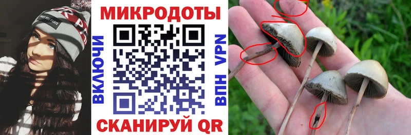 Псилоцибиновые грибы ЛСД  hydra зеркало  Ставрополь  купить наркотики сайты 